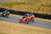 anglesey-no-limits-trackday;anglesey-photographs;anglesey-trackday-photographs;enduro-digital-images;event-digital-images;eventdigitalimages;no-limits-trackdays;peter-wileman-photography;racing-digital-images;trac-mon;trackday-digital-images;trackday-photos;ty-croes